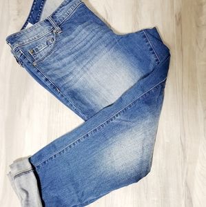 Torrid Jeans
